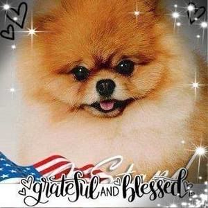 Meet your Posher, Candace